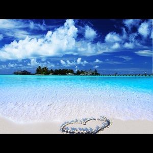 Meet your Posher, Rosemary